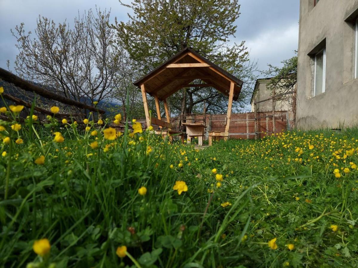 Girgola Bed & Breakfast Mestia Dış mekan fotoğraf