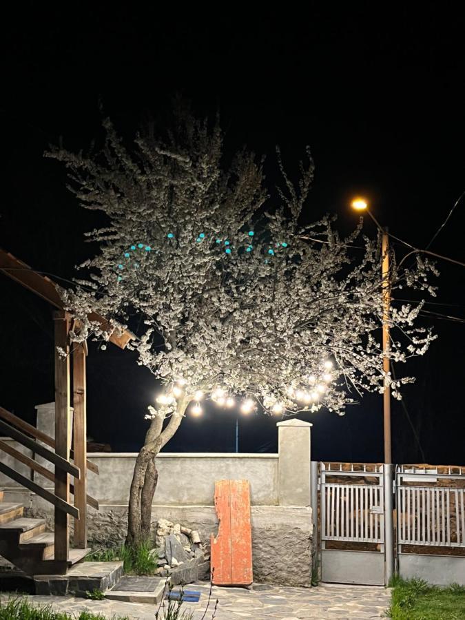 Girgola Bed & Breakfast Mestia Dış mekan fotoğraf